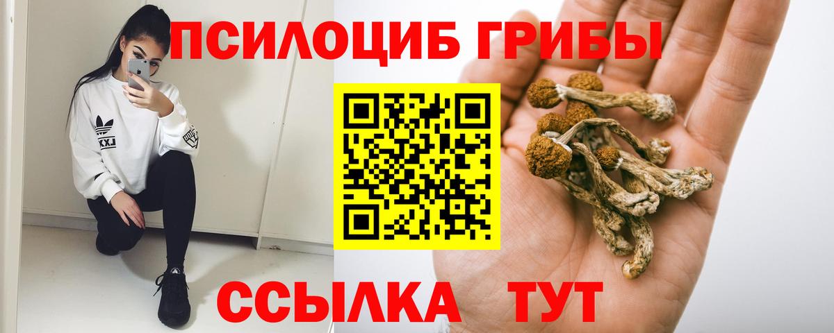 Галлюциногенные грибы прущие грибы  наркота  Камень-на-Оби  Вход с VPN 